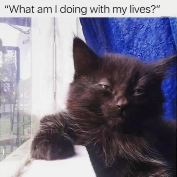 Dads Jokes (23 pics)