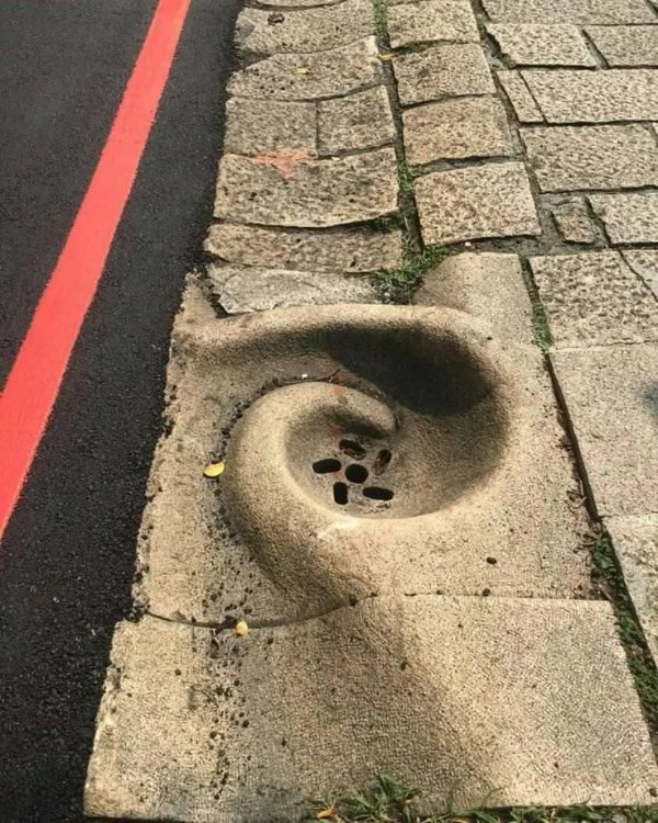 What Is Going On Here? (41 pics)