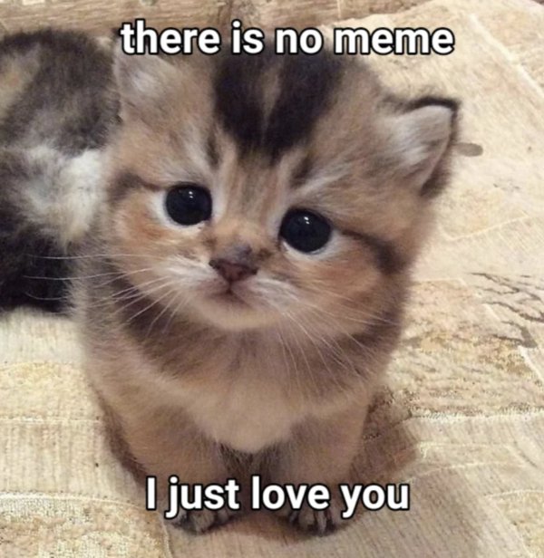 Memes For Couples (35 pics)