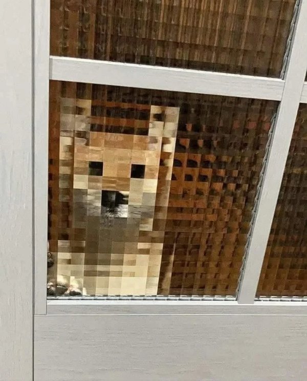 What Is Going On Here? (41 pics)