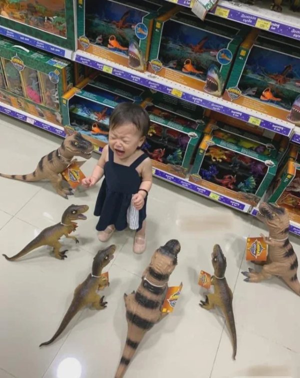 What Is Going On Here? (41 pics)