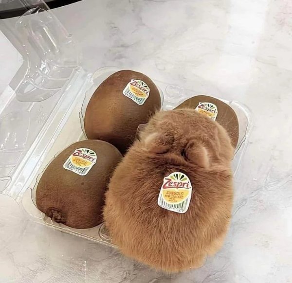 What Is Going On Here? (41 pics)