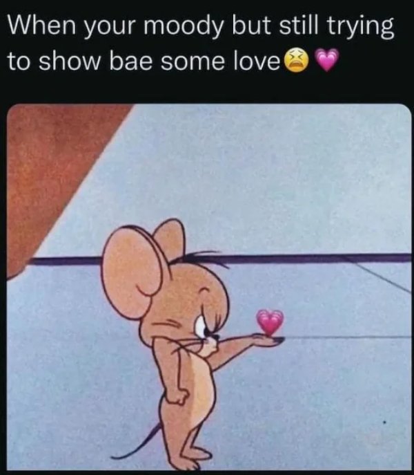 Memes For Couples (35 pics)