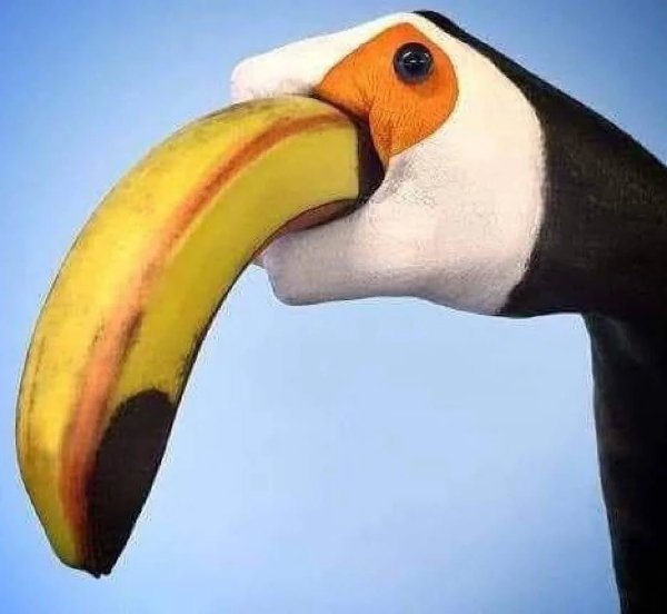 What Is Going On Here? (41 pics)