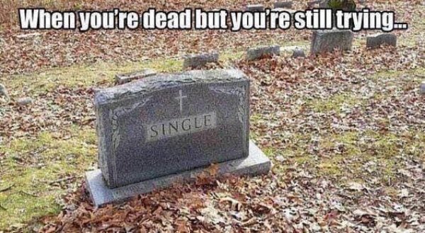 Funny Memes (28 pics)