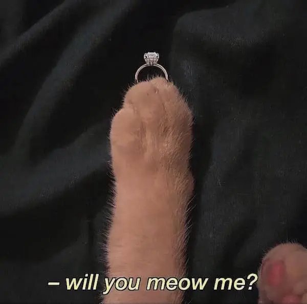 Memes For Couples (35 pics)
