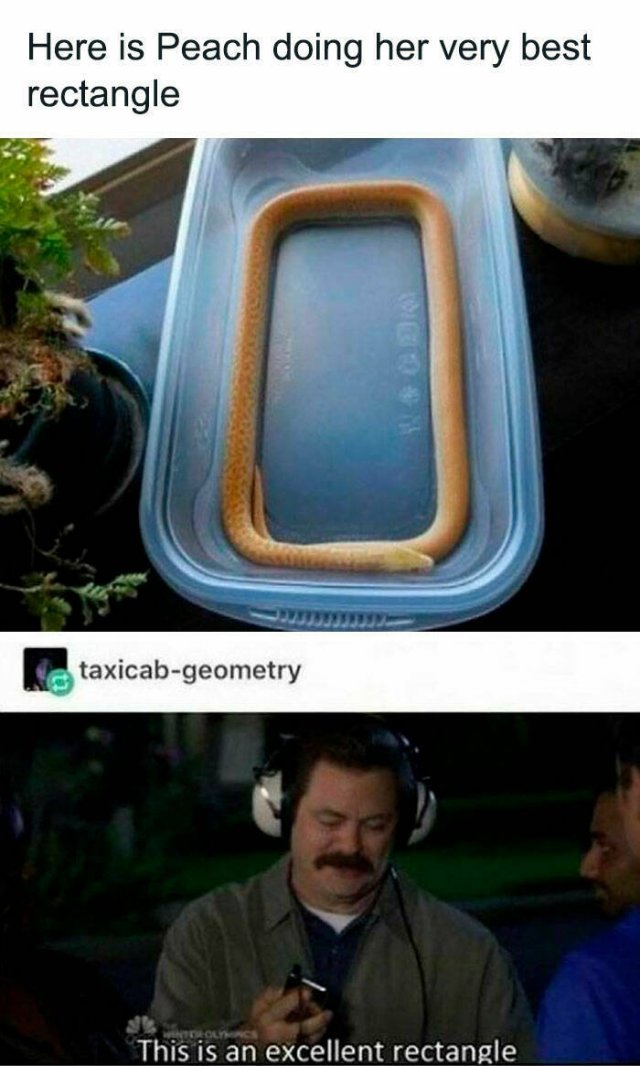 Positive Posts For A Good Mood (21 pics)