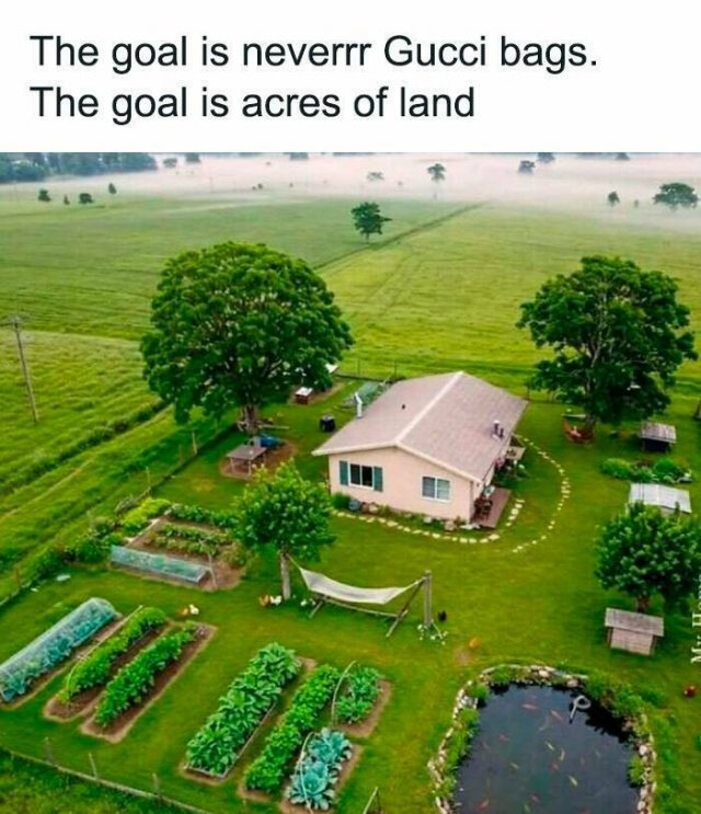 Positive Posts For A Good Mood (21 pics)