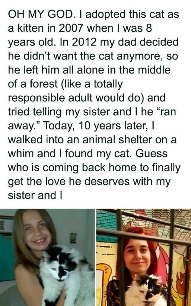 Positive Posts For A Good Mood (21 pics)