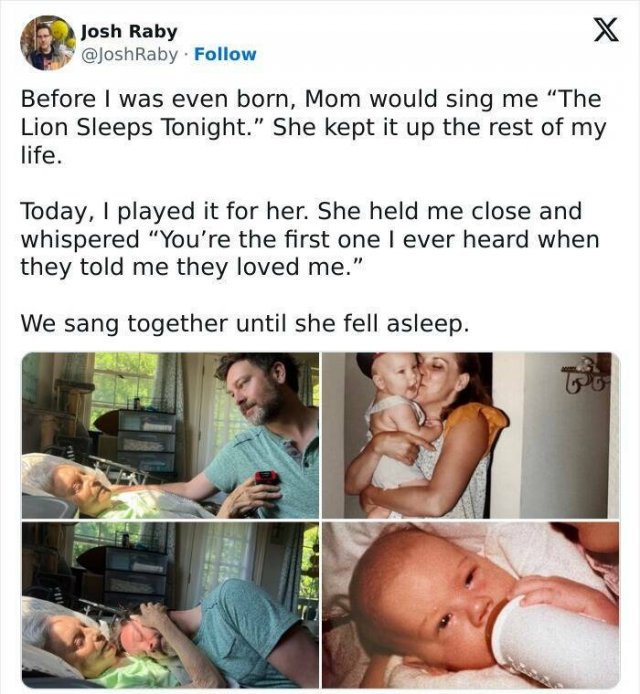 Positive Posts For A Good Mood (21 pics)