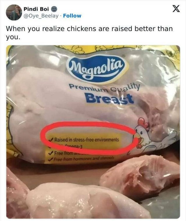 Positive Posts For A Good Mood (21 pics)