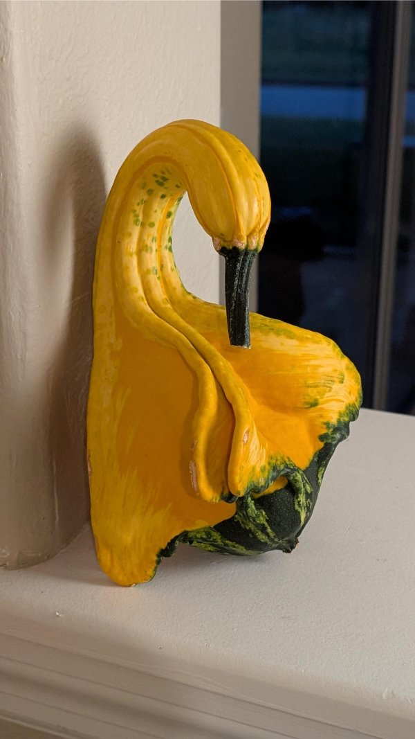 Interesting Finds (24 pics)