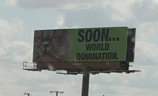 Funny Billboards (22 pics)
