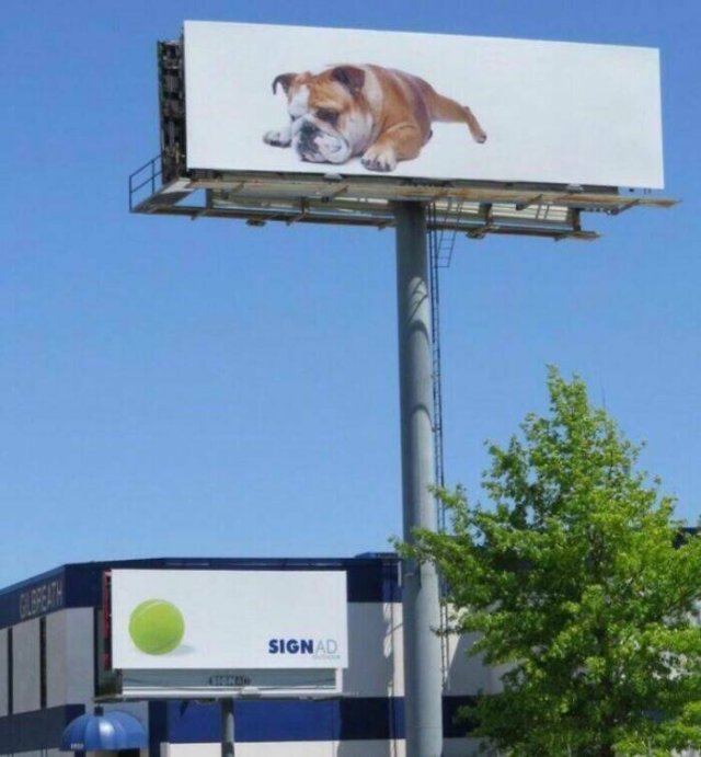 Funny Billboards (22 pics)