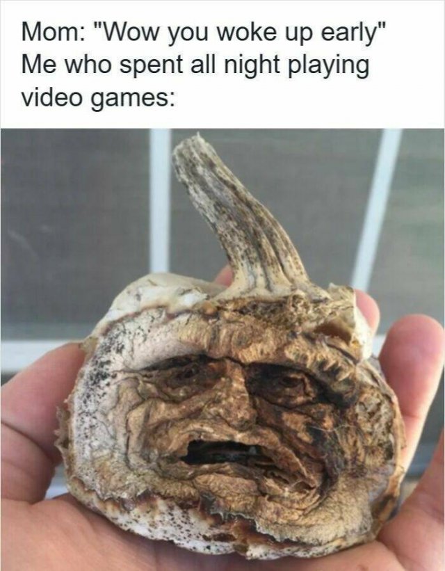 Memes About Insomnia (21 pics)