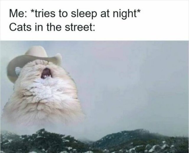Memes About Insomnia (21 pics)