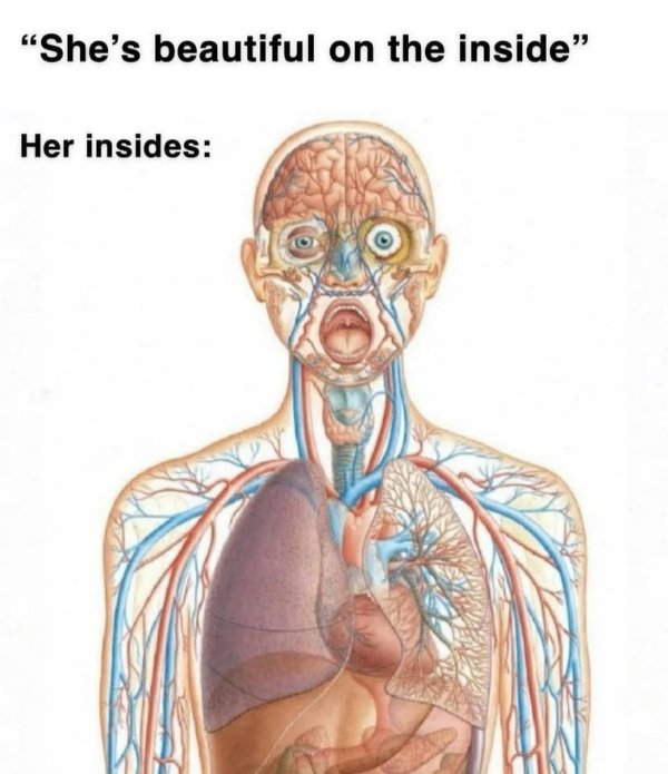 Funny Memes (32 pics)