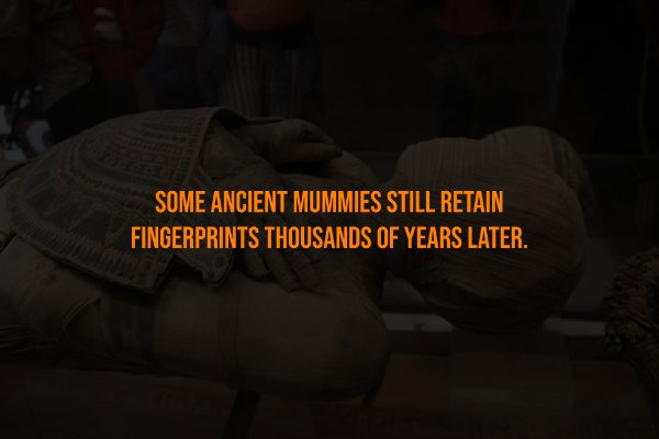Creepy Facts (15 pics)