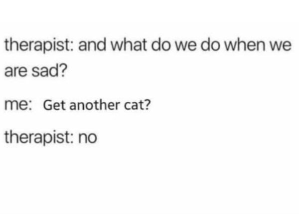 Memes And Photos For Cats Lovers (30 pics)