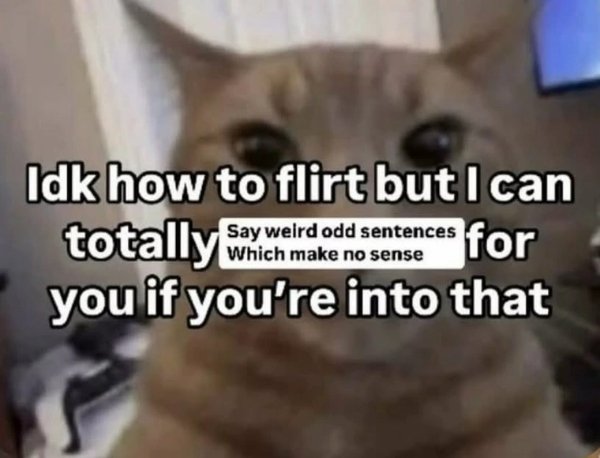 Funny Memes (32 pics)
