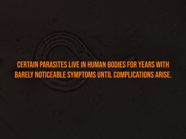 Creepy Facts (15 pics)