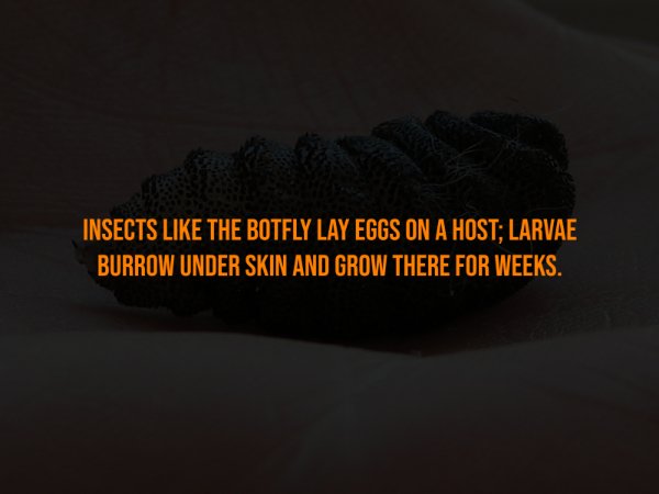 Creepy Facts (15 pics)
