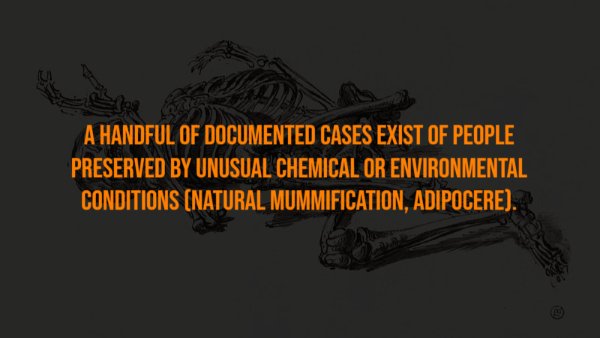 Creepy Facts (15 pics)