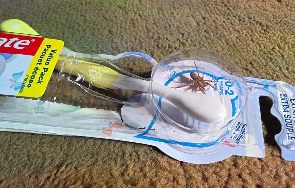 Strange Designs And Finds (23 pics)