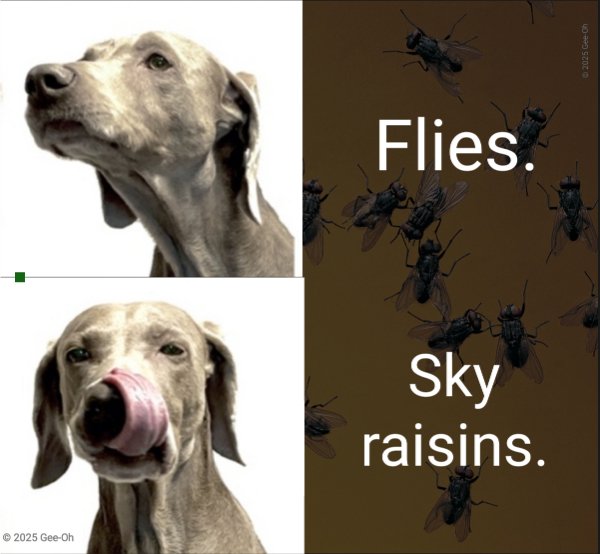 Random Memes (26 pics)