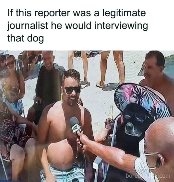 Funny Memes (32 pics)