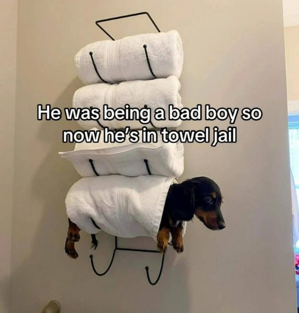 Funny Memes (32 pics)