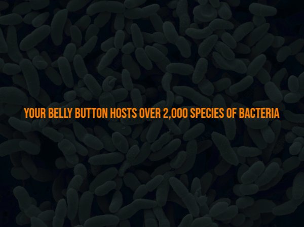 Creepy Facts (15 pics)