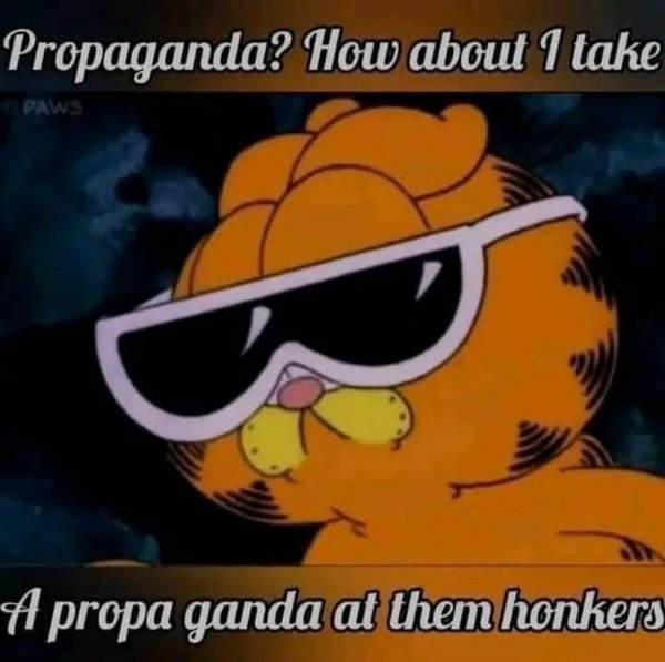Funny Memes (32 pics)