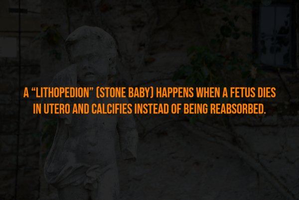 Creepy Facts (15 pics)