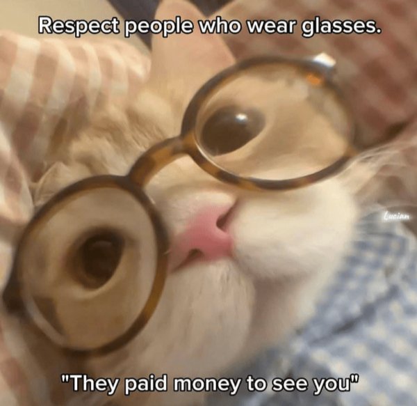Memes And Photos For Cats Lovers (30 pics)