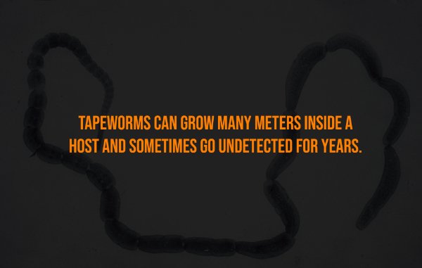 Creepy Facts (15 pics)