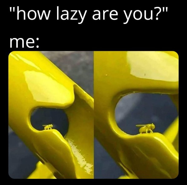 Random Memes (26 pics)