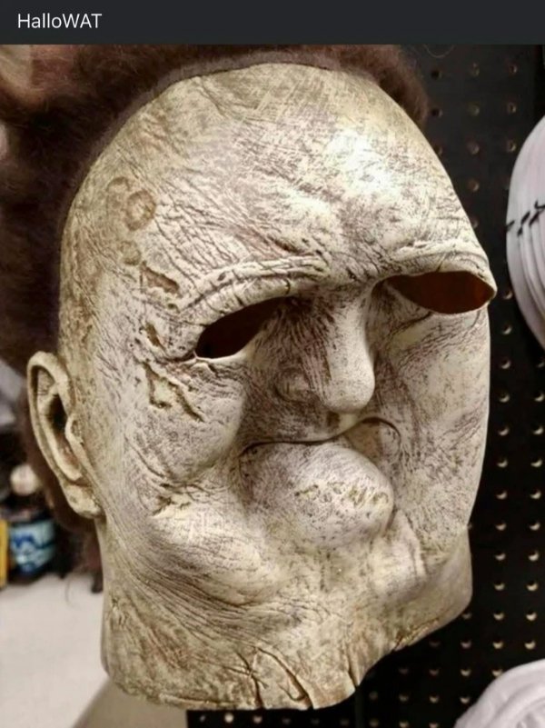 Funny Memes (32 pics)