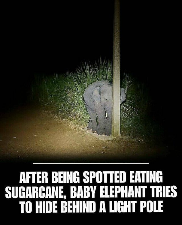 Posts For A Good Mood (21pics)