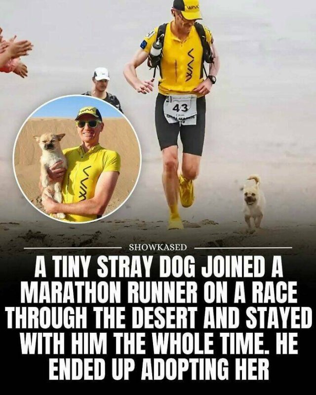 Posts For A Good Mood (21pics)