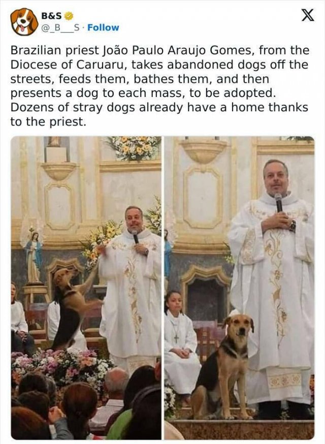 Posts For A Good Mood (21pics)