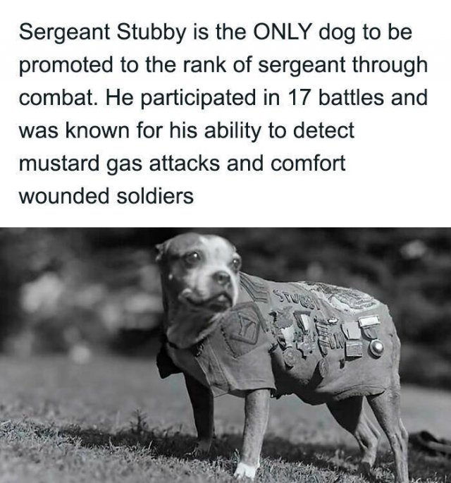 Posts For A Good Mood (21pics)