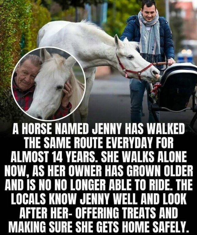 Posts For A Good Mood (21pics)