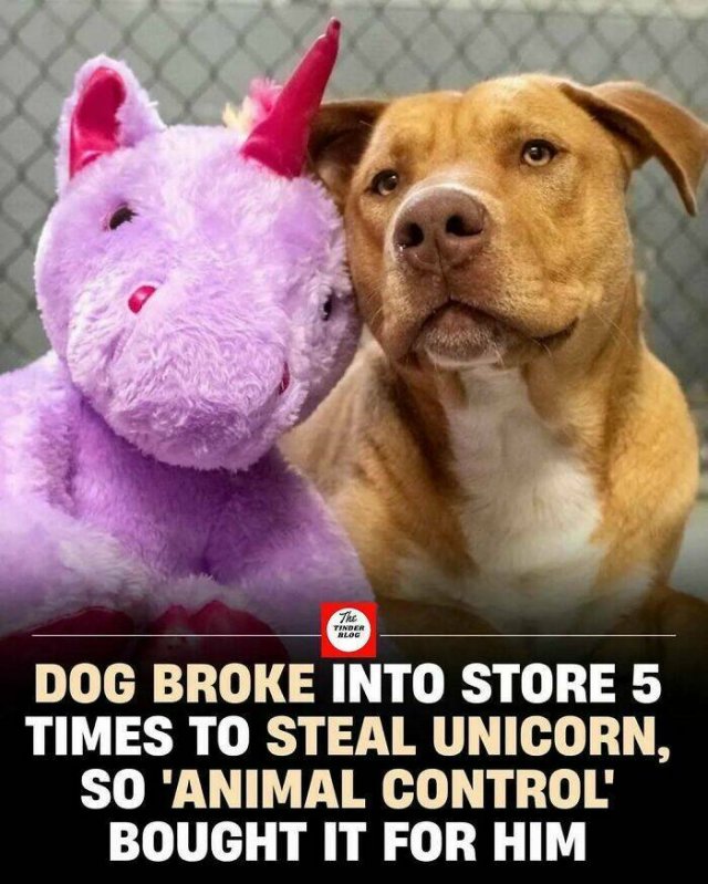 Posts For A Good Mood (21pics)