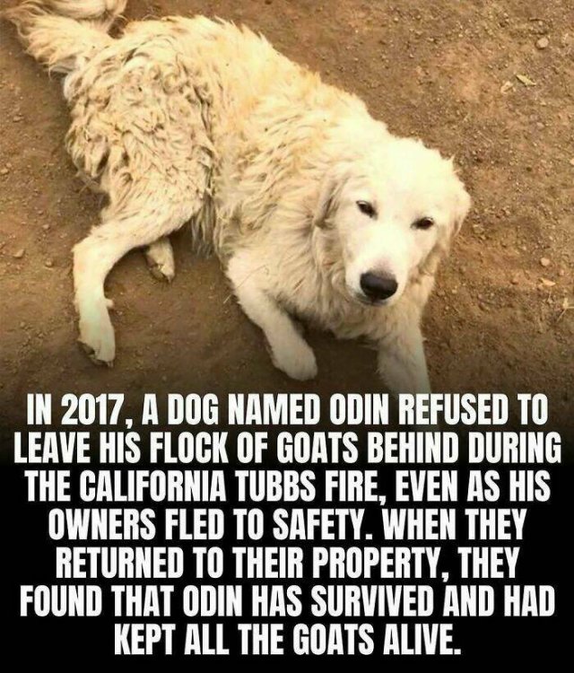 Posts For A Good Mood (21pics)