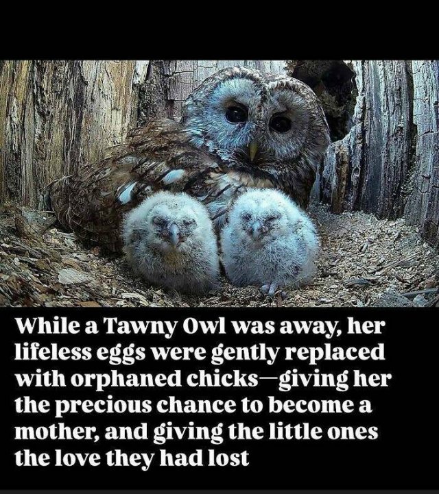 Posts For A Good Mood (21pics)