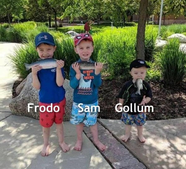 Memes For ''The Lord Of The Rings'' Fans (29 pics)
