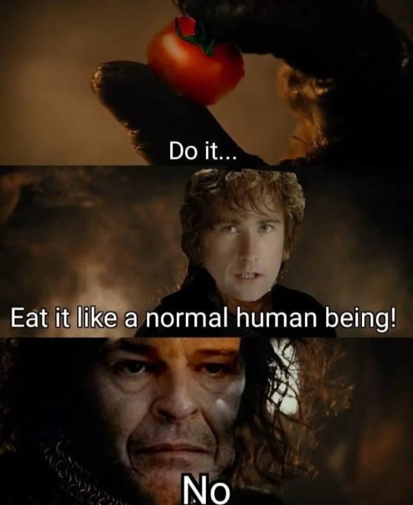Memes For ''The Lord Of The Rings'' Fans (29 pics)