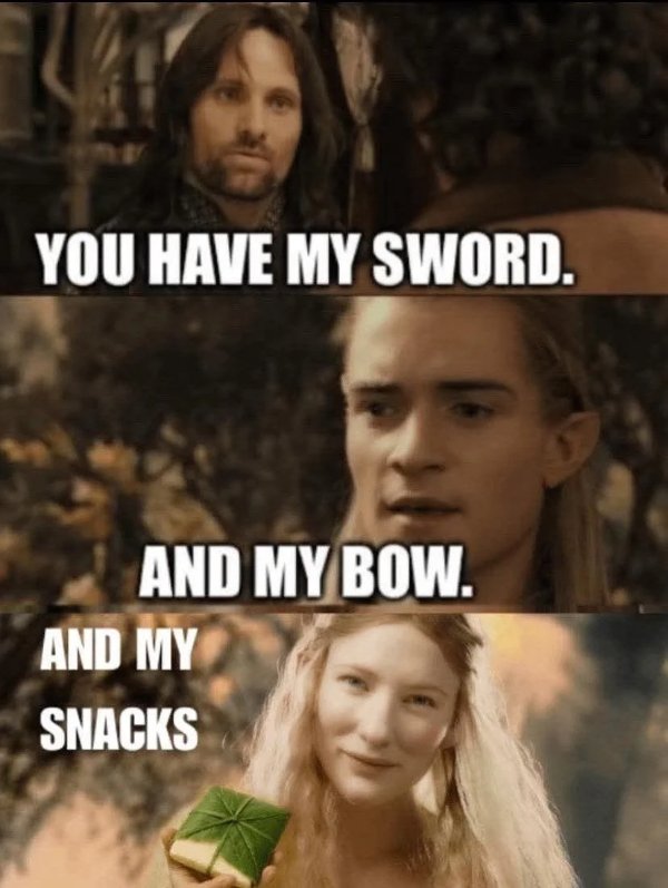 Memes For ''The Lord Of The Rings'' Fans (29 pics)