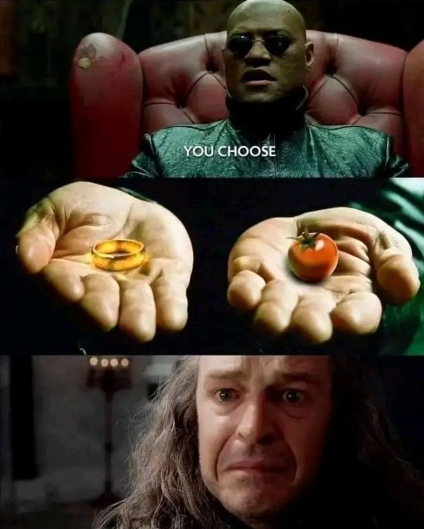 Memes For ''The Lord Of The Rings'' Fans (29 pics)